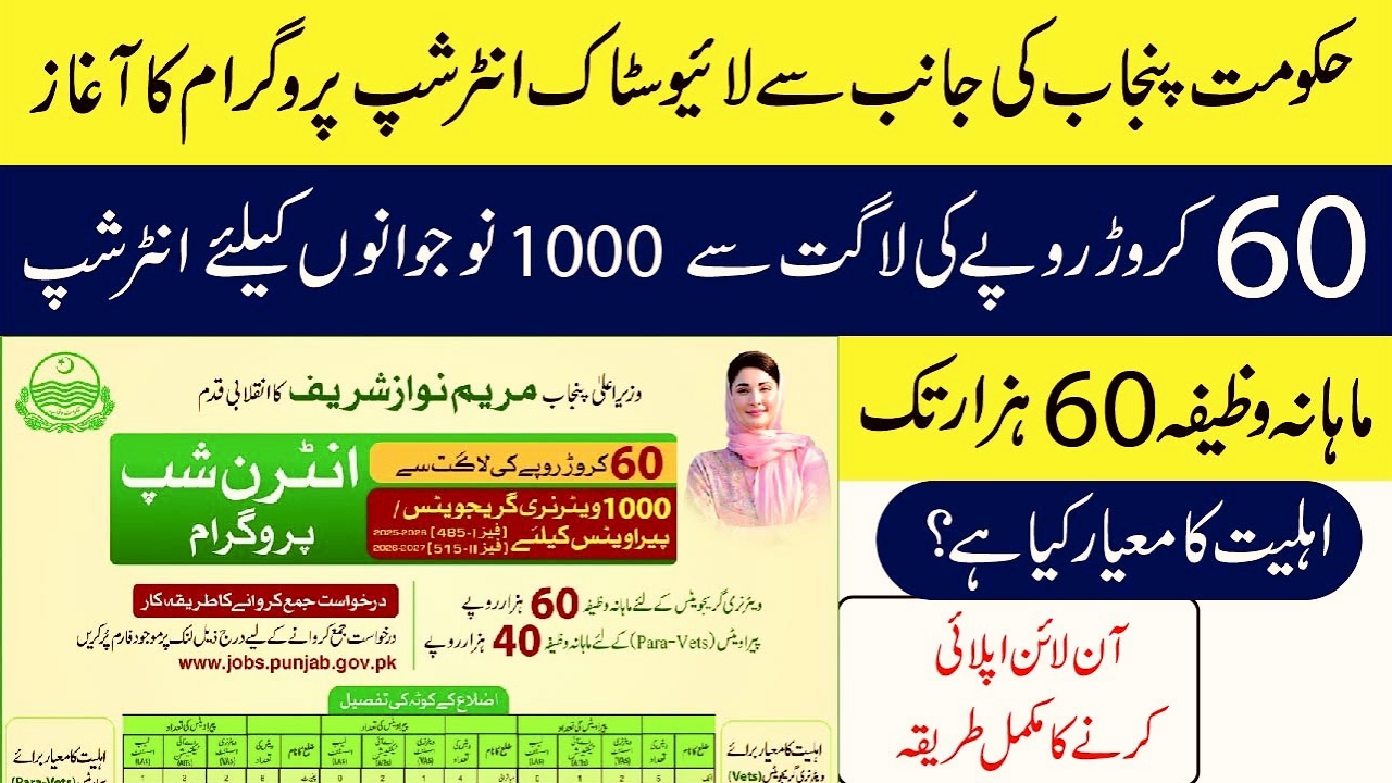 Punjab Internship Program