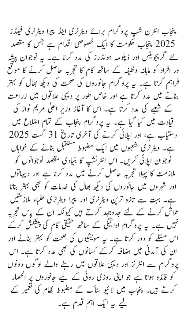 Punjab Internship Program